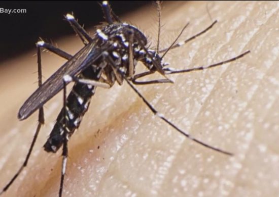Dengue em Roraima