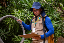 Combate à dengue em Boa Vista