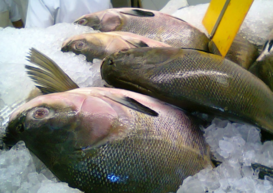 Peixe na semana santa