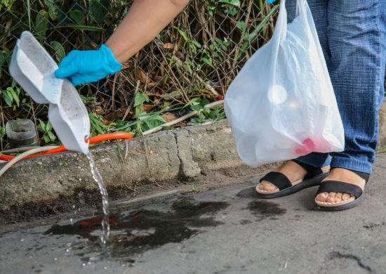 Conforme o Ministério da Saúde, 74,8% dos criadouros do mosquito da dengue estão nas casas - Foto: Divulgação/Antônio Lima/Secom