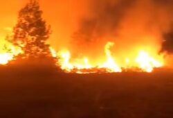 Incêndios em Roraima, cantá