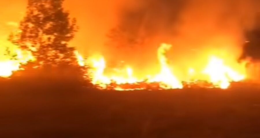 Incêndios em Roraima, cantá