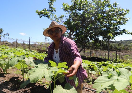Mulheres se destacam na agricultura no Amazonas - Foto: Divulgação/Isaac Maia/Sepror