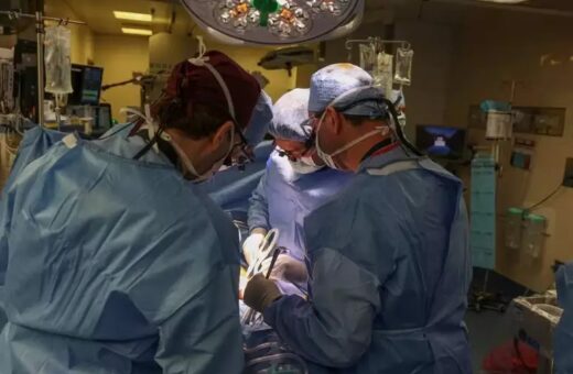 Os médicos receberam o rim do porco e fizeram o transplante no último sábado (16)
