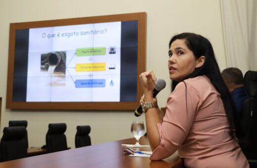 Engenheira discute desafios e soluções no saneamento durante CPI da BRK em Palmas
