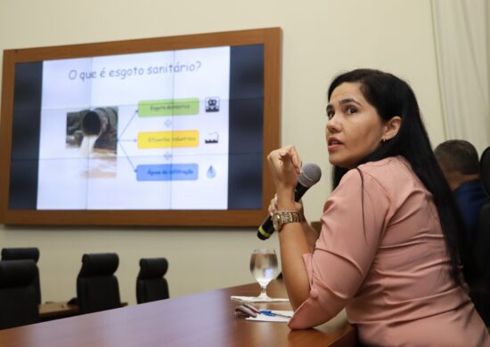 Engenheira discute desafios e soluções no saneamento durante CPI da BRK em Palmas