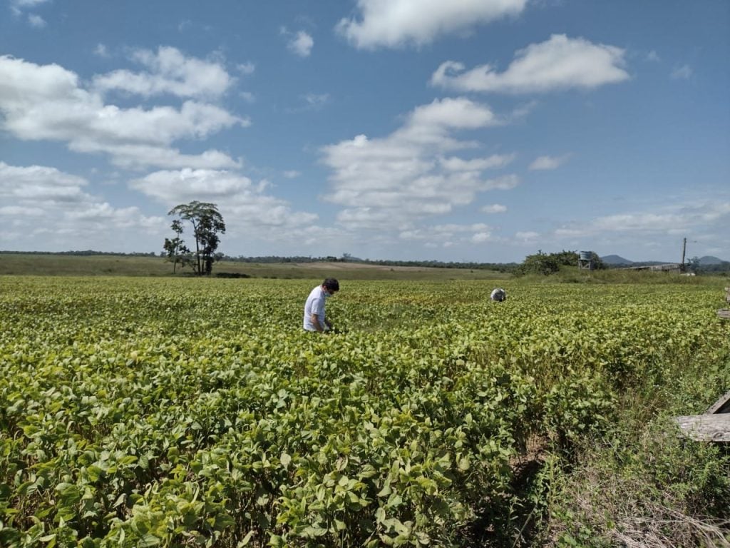 Semana do Campo Limpo