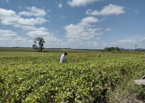 Semana do Campo Limpo