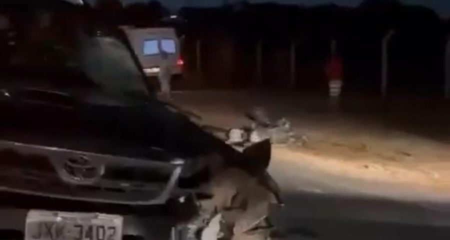 Acidente em Boa Vista: Motociclista morre após bater contra caminhonete na BR-174