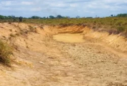 Seca em Roraima Forte estiagem faz Caroebe-RR decretar emergência por falta de água