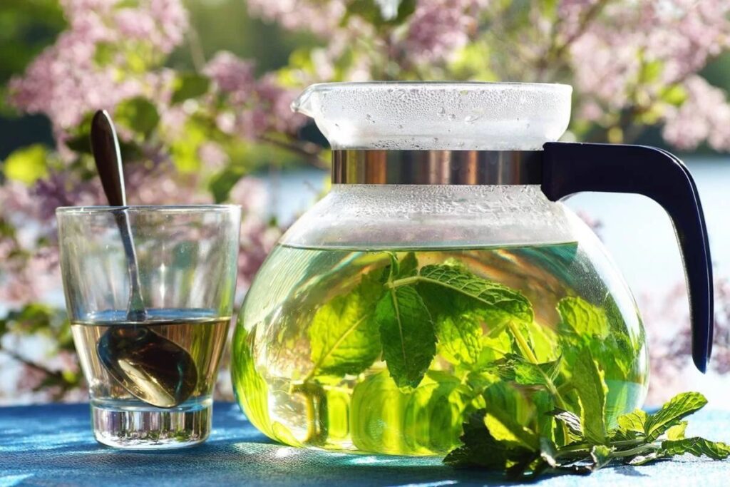 Chá de ora-pro-nóbis pode ser potencializado com hortelã e limão
