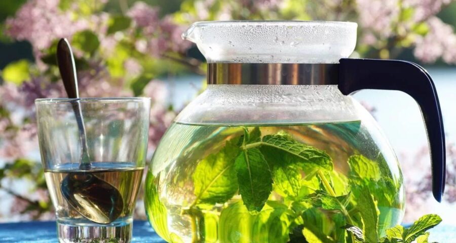Chá de ora-pro-nóbis pode ser potencializado com hortelã e limão