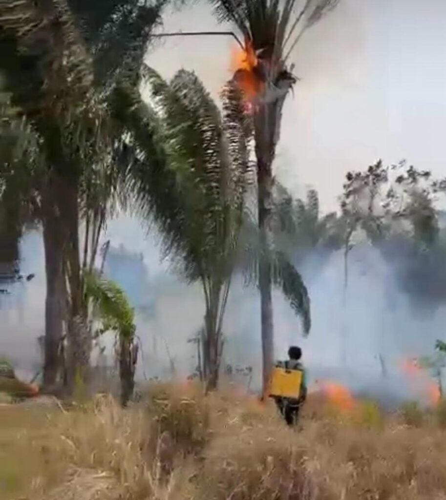 Boa Vista decreta situação de emergência por conta da estiagem 