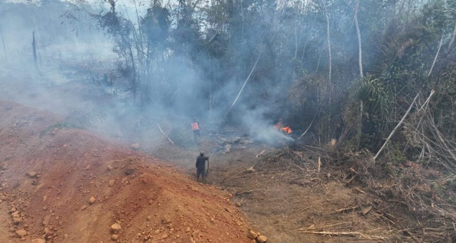 Tuxaua de Comunidade Indígena é preso por incêndio criminoso em RR