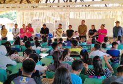 educação em roraima