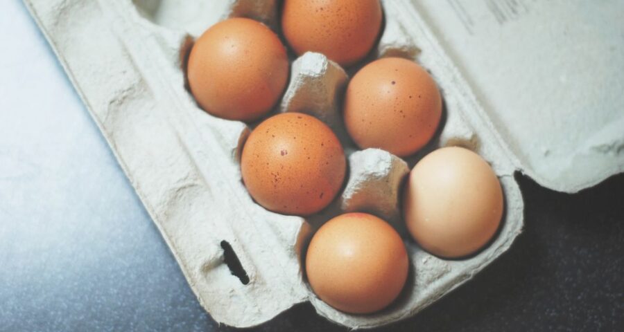 Ovos estão cercados de mitos e verdades