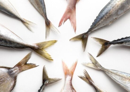Algumas espécies de peixe devem ser evitadas. Imagem: Freepik