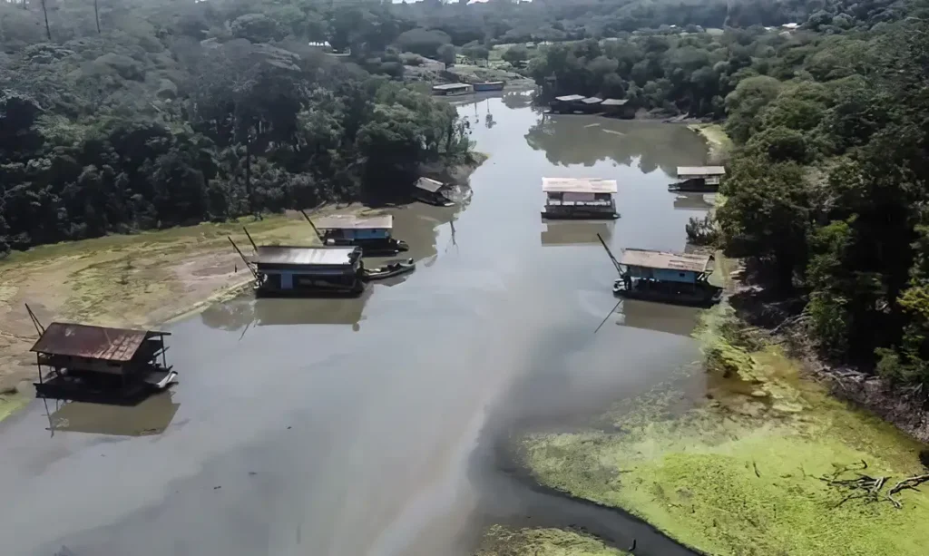 Amazônia