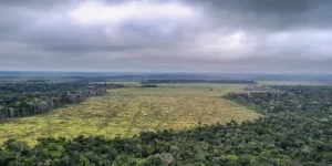 Amazônia