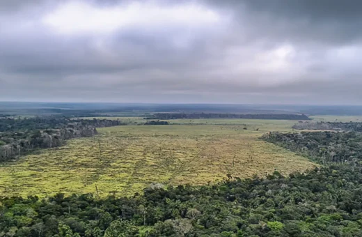 Amazônia