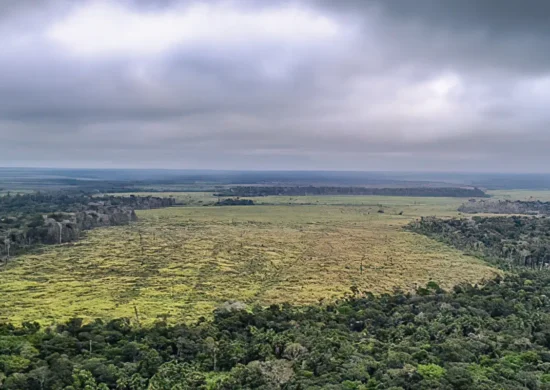 Amazônia