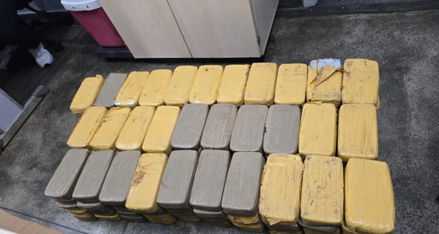 Polícia Civil prende suspeito com grande quantidade de cocaína - Foto: Divulgação/PC-AM