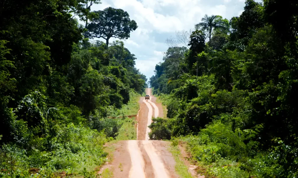 Degradação na Amazônia