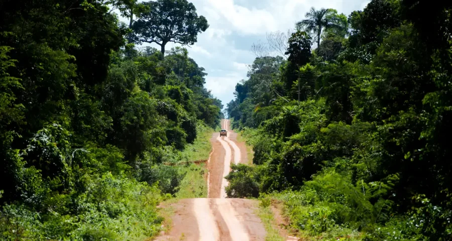 Degradação na Amazônia