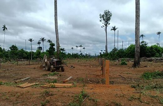 Desmatamento no Pará - Foto: Divulgação