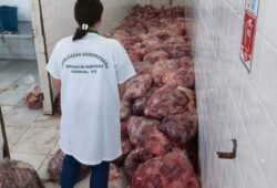 Carne estava sem refrigeração e armazenada no chão - Foto: Aderr