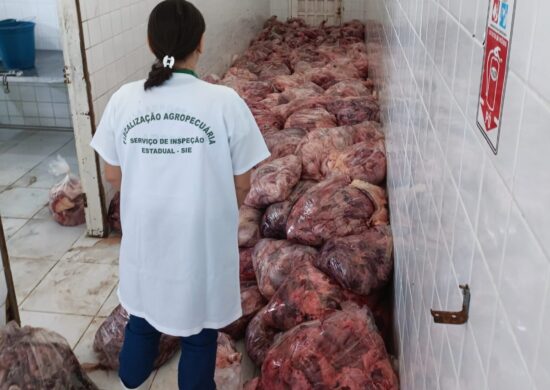 Carne estava sem refrigeração e armazenada no chão - Foto: Aderr