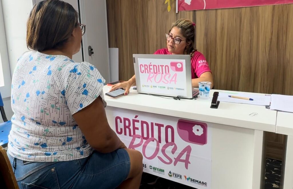 crédito rosa empreendedorismo feminino-capa