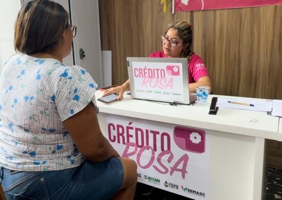 crédito rosa empreendedorismo feminino-capa