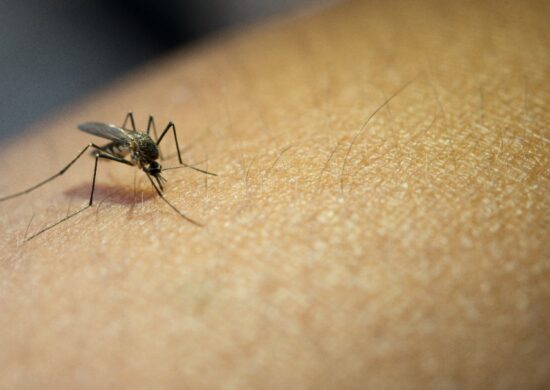 malária em roraima