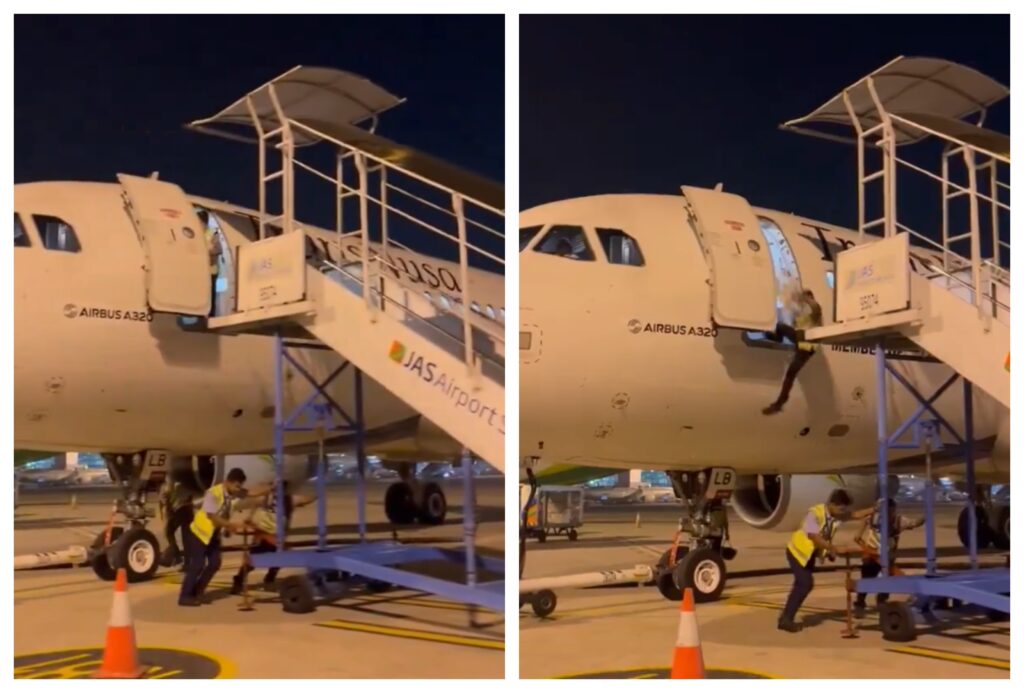 Funcionário despenca de avião após retirada de escada - Foto: Reprodução/X