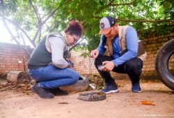 Dengue em Roraima