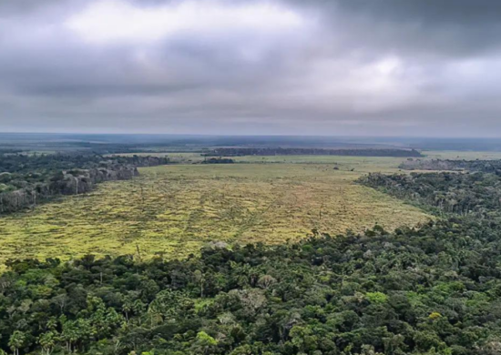 Projeto votado no Senado pode liberar o desmatamento de 25 milhões de hectares na Amazônia - Foto: Divulgação/Polícia Federal