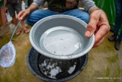 Mutirão contra a Dengue - Foto Fernando Teixeira