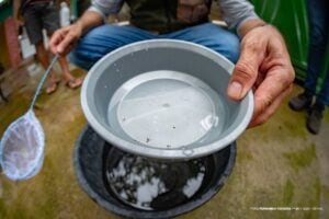 Mutirão contra a Dengue - Foto Fernando Teixeira