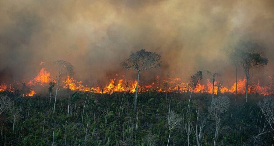 Amazonia-e-Pantanal