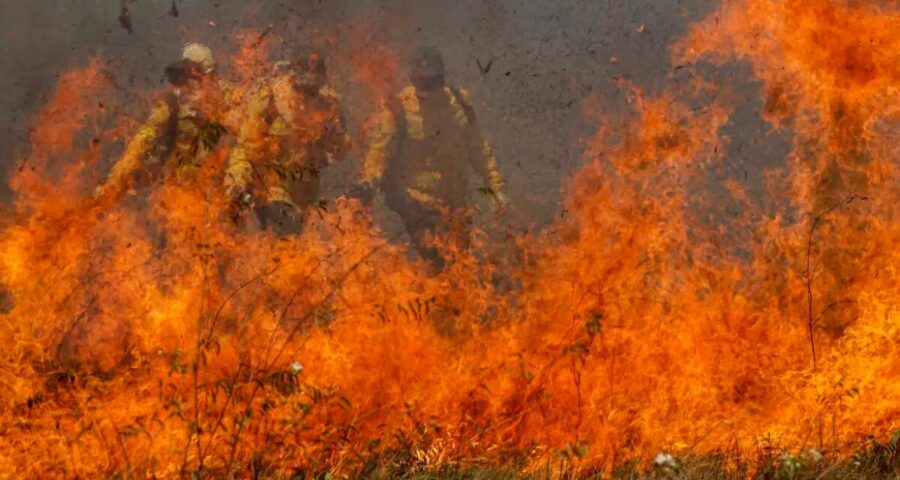 Pantanal é o bioma mais afetado - Foto: Joédson Alves/Agência Brasil