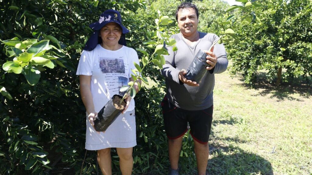 Agricultores recebem mudas para plantações - Foto: Divulgação/Isaac Maia/Sepror