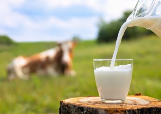 No dia Mundial do Leite, Mapa fala sobre os lácteos. Foto: Reprodução/Ministério da Agricultura