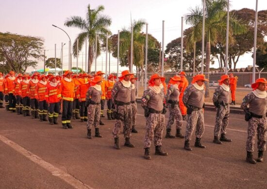 GDF envia bombeiros para combater incêndios no Pantanal.