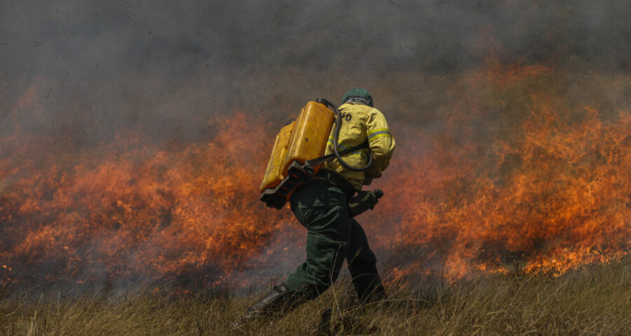 Junho chega com alerta de incêndios florestais no DF