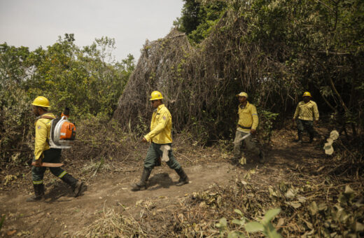 Os servidores federais ambientais decidiram pela greve em 17 estados e no Distrito Federal. Vinculados ao Instituto Brasileiro do Meio Ambiente e dos Recursos Naturais Renováveis (Ibama), ao Instituto Chico Mendes de Conservação da Biodiversidade (ICMBio), ao Ministério do Meio Ambiente e Mudança do Clima (MMA) e ao Serviço Florestal Brasileiro, os funcionários públicos estão em negociação há cerca de seis meses com o Ministério da Gestão e da Inovação em Serviços Públicos (MGI), sem obter avanços significativos.