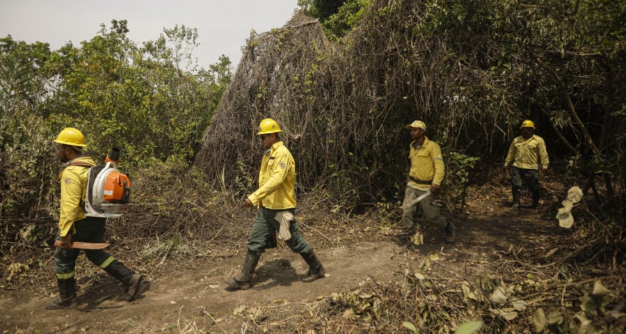 Os servidores federais ambientais decidiram pela greve em 17 estados e no Distrito Federal. Vinculados ao Instituto Brasileiro do Meio Ambiente e dos Recursos Naturais Renováveis (Ibama), ao Instituto Chico Mendes de Conservação da Biodiversidade (ICMBio), ao Ministério do Meio Ambiente e Mudança do Clima (MMA) e ao Serviço Florestal Brasileiro, os funcionários públicos estão em negociação há cerca de seis meses com o Ministério da Gestão e da Inovação em Serviços Públicos (MGI), sem obter avanços significativos.