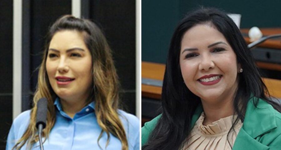 Duas deputadas do Norte assinaram o PL do aborto. Renilce Nicodemos (MDB-PA) e Cristiane Lopes (União-RO). Foto: Reprodução/Câmara dos Deputados