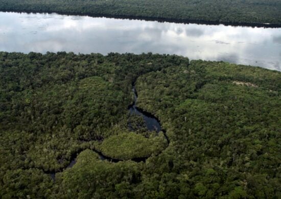 Meio ambiente no Brasil possui potencial para atrair investimentos verdes - Foto: Armando Fávaro/Estadão Conteúdo
