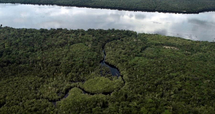 Meio ambiente no Brasil possui potencial para atrair investimentos verdes - Foto: Armando Fávaro/Estadão Conteúdo